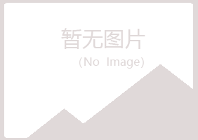 青白江区夏岚房地产有限公司